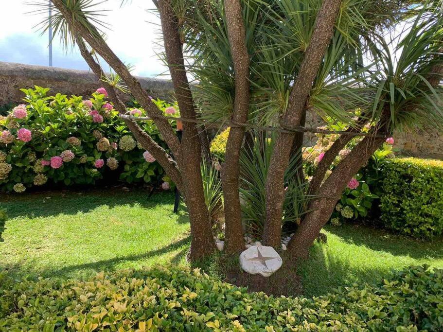 Apartamento Con Jardin Santander Extérieur photo