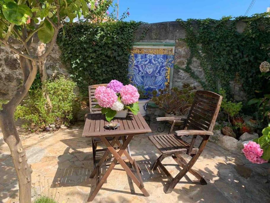 Apartamento Con Jardin Santander Extérieur photo